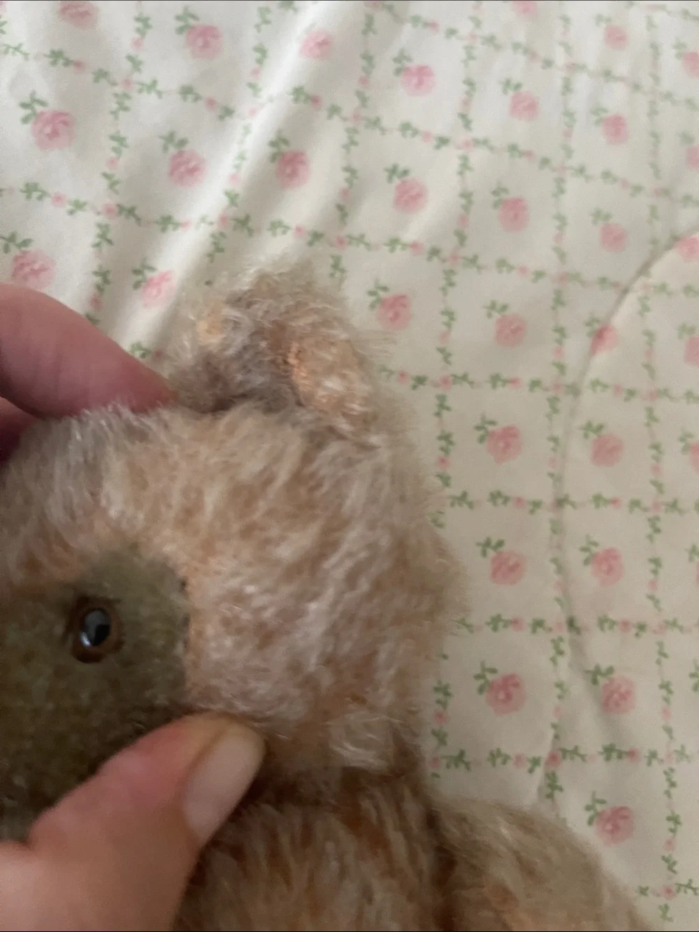 Antique well loved jointed growler steiff teddy bear
